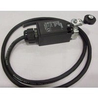 Upper and Lower Limitswitch - electric - 3040406R